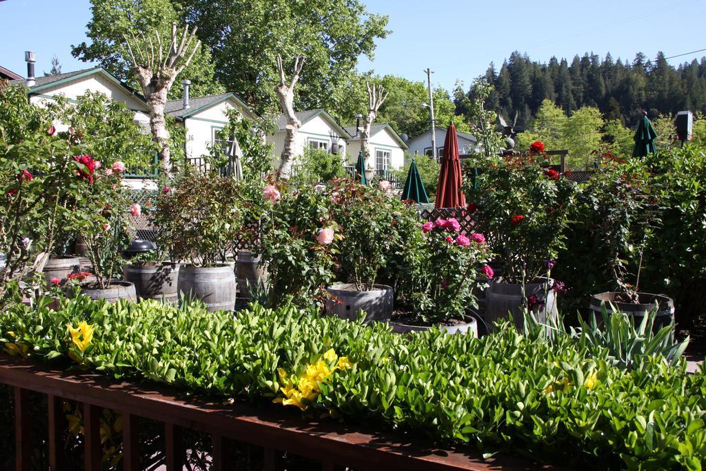 The Woods Hotel - Gay Lgbtq Cabins Guerneville Exterior photo